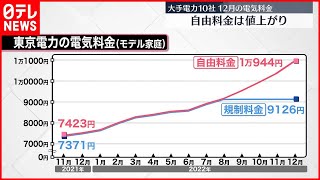 【大手電力10社】12月の電気料金「自由料金」は値上がり