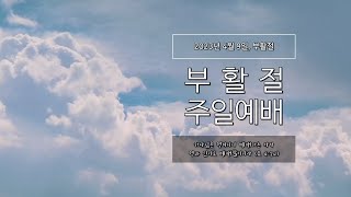 2023년 4월 9일(주일) 갈월교회 부활주일 예배 / \