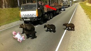 Man Threw His Son In The Road, But What The Bear Did Next Was Unbelievable...
