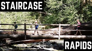 Hiking The Staircase Rapids Trail In Olympic National Park from Lake Cushman