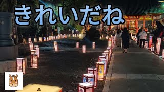 【浅草神社】灯籠祭2023#浅草 #asakusa