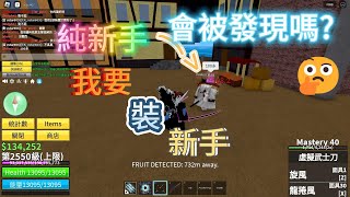 roblox blox fruits裝新手會被發現嗎