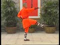 shaolin kung fu combat styles 5. 7 star form 七星拳 qixing quan