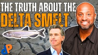 Newsom Lied About the Smelt Fish