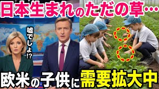 【海外の反応】イギリス「日本の草に出会って子供が変わってしまった…」野菜を全然食べない子供を日本に連れて行った結果w【総集編】