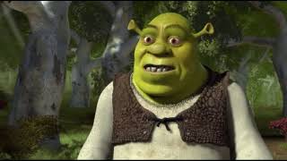 Шрек это моя принцесса | shrek this is my princess