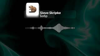 Slava Skripka - Бобр