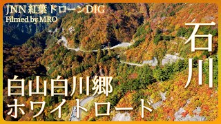 白山白川郷ホワイトロードの紅葉【JNN 紅葉ドローンDIG】｜TBS NEWS DIG