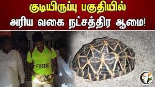 குடியிருப்பு பகுதியில் அரிய வகை நட்சத்திர ஆமை! | A rare star turtle