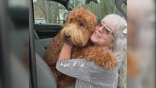 Community remembers Bowdoin shooting victims, rallies behind I-295 survivors