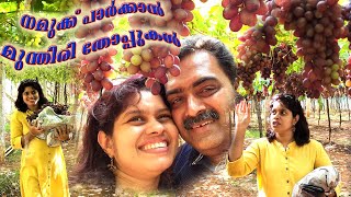 Grape Arbour | Nandhi Hills | Bangalore | Chikkaballapur | Grapes Farms  | Fresh Green Red Grapes