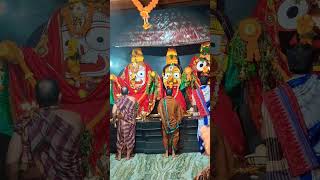 Sandhya Alati🙏❤️👌//must watch 🙏//Jay Jagannath Swami 🙏#trending #bhajan #song #shorts