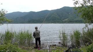 琵琶湖に野鯉を探る－湖北・赤崎丸子船パーキング