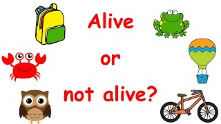 Alive or not alive?