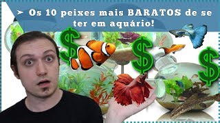 Os 10 peixes mais BARATOS de se ter em aquário!