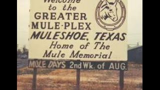 Muleshoe