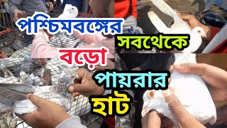 পশ্চিমবঙ্গের সবচেয়ে বড়ো পায়রার হাট/kolkata gaiff street pigoen market in west Bengal #highflykabutar