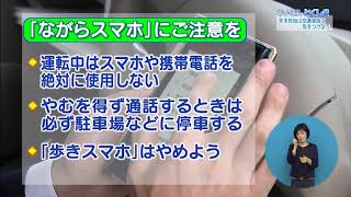 マイシティとくしま平成30年12月23日放送「年末年始は交通事故に気をつけよう」