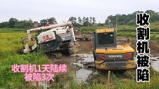 亏大了 收割机1天陆续被烂田陷3次 多亏万能的挖机才被解救成功