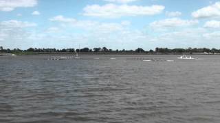 2016 FSRA State Sculling Championships - Girls Varsity 4x Final (Race 21FA - 4/17/2016)