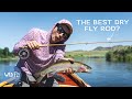 Dry Flies on Bamboo & Truck Camping Montana