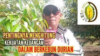 PENTINGNYA MENGHITUNG ULANG KEKUATAN KEUANGAN DALAM BERKEBUN DURIAN (@dewaneduren)