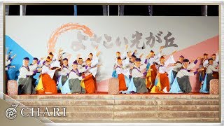 【4K】ぞっこん町田'98｜火の鳥 〜HINOTORI〜（光が丘よさこい2017）【受賞演舞】