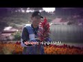 시들지 않는 사랑 맨드라미 로맨틱한 꽃말을 가진 맨드라미 💐 맨드라미로 뒤덮인 병풍도로 꽃구경 가보는 건 어떨까요 꽃여행 가을여행 국내여행