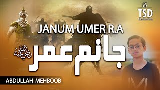 Superhit Muharram Manqabat | Janum Umer R.A | Abdullah Mehboob | Nasheed Club, Tsd Records