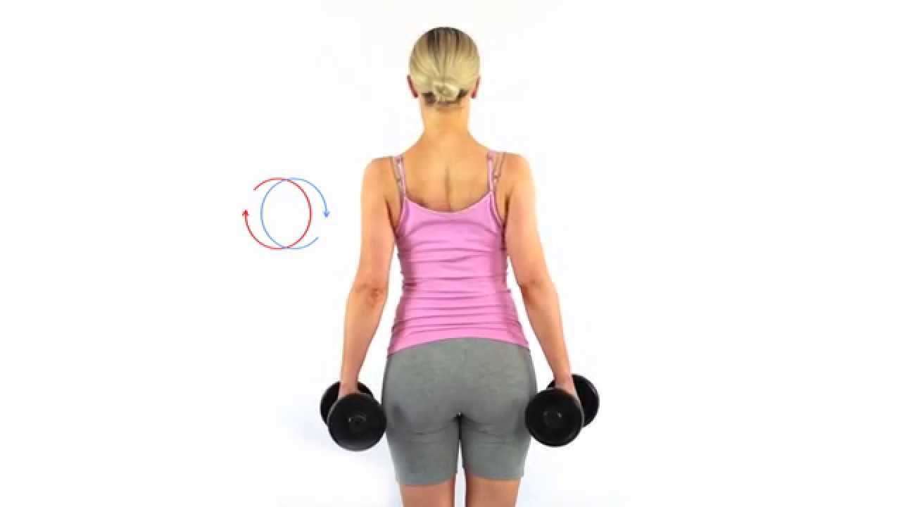 Shoulder Rolls