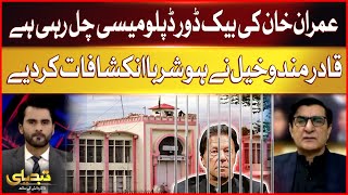 Imran Khan's backdoor diplomacy is going on | Qadir Mandokhail Important Revelations