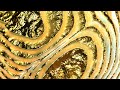 Create an abstract animation with an abstract shader in geometry nodes | Blender beginner tutorial