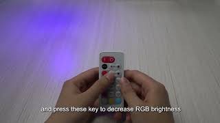 Rayrun Umi Smart Wireless LED Remote -- BR01