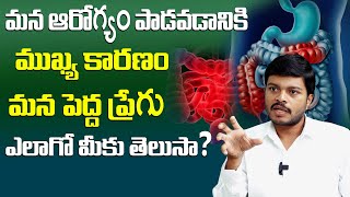 మన ఆరోగ్యం పాడవడానికి ముఖ్య కారణం మన పెద్ద ప్రేగు ఎలాగో మీకు తెలుసా.? || RAVI BETHAPUDE