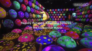 Rapidly Rotating Bouncing Spheres in the Caterpillar House