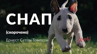 Ернест Сетон-Томпсон — Снап. Історія бультер'єра (аудіокнига скорочено)