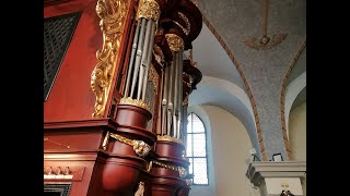 Stary Sącz (PL) - Organ Concert - Manuel Tomadin