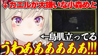 カエルが急に現れ動揺しすぎていないか疑うが明らかにいて叫ぶ小森めとｗｗｗ【小森めと/ぶいすぽ/切り抜き】