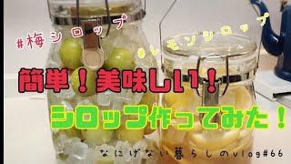 【暮らしvlog】梅仕事の季節/超簡単！梅シロップ/レモンシロップ