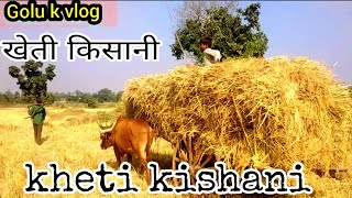 येसो के खेती किसानी 🙆😭yesho ke kheti kishani 🤣🙏Golu k vlog