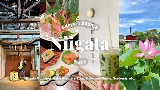 SUB) 5 days trip to Niigata Part 2 | Niigata city | Sake brewery tour and Sake tasting🍶 | Souvenirs