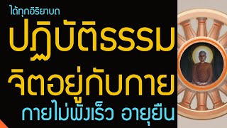 การปฏิบัติธรรม ในทุกอิริยาบถ อานาปานสติ เอาจิตอยู่กับกายบ่อยๆ กายไม่พังเร็ว อายุยืน