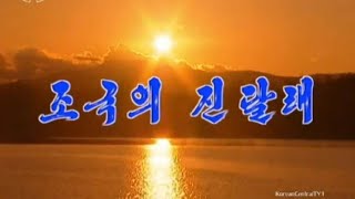 【北朝鮮音楽・DPRK Music】조국의 진달래（祖国のツツジ / Azaleas in the Homeland）功勲国家合唱団 / State Merited Chorus