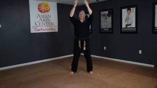 Martial Arts Lesson In Your Online Martial Arts Dojo