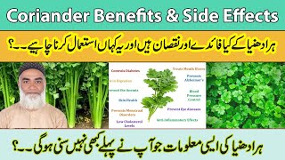 | Coriander Benefits \u0026side Effects | Hara Dhaniya ke Faidy Aur Nuqsaan