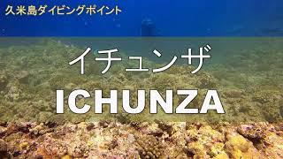 久米島のダイビングポイント【イチュンザ】いろいろな幼魚達が暮らす棲み処です。