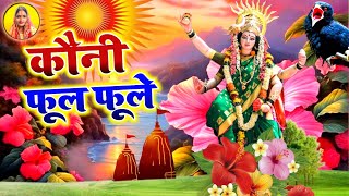 #video देवी पचरा गीत || कौनी फूल फूले || Neha Music Records || paramparik devi geet 2024 #devi geet