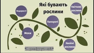 Які бувають рослини. ЯДС  3 клас