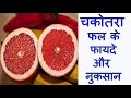 चकोतरा फल के फायदे और नुकसान chakotra ke fayde or nuksan benefits and side effects of grapefruit