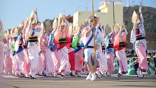 徳島県阿波踊り協会選抜連 📍徳島おどりフェスタ (おどりコース1) 2024-12-01T10:00